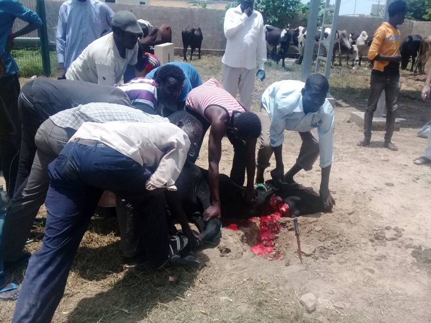 L'association Itimad s'est portée à la rescousse des personnes nécessiteuses. Alwihda Info