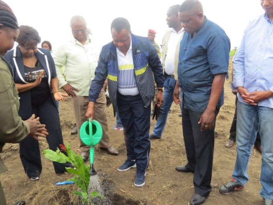 Denis Sassou N'Guesso accomplissant son devoir de planting. Denis Sassou N'Guesso accomplissant son devoir de planting.