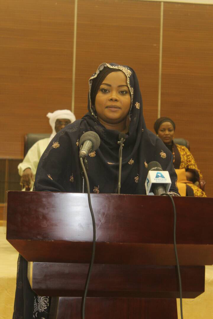 En images : lancement du festival de l'agrobusiness à N'Djamena