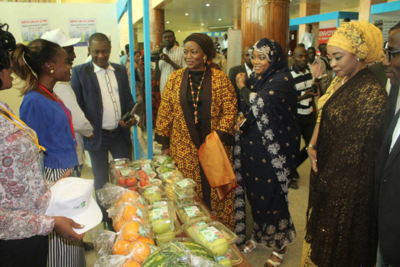 Tchad : Festival Agro-Business pour la mise en exergue de toute la chaine de production Tchad : Festival Agro-Business pour la mise en exergue de toute la chaine de production