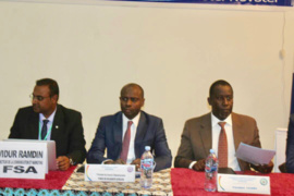 Le FSA entend financer des projets de développement économique du Tchad Le FSA entend financer des projets de développement économique du Tchad