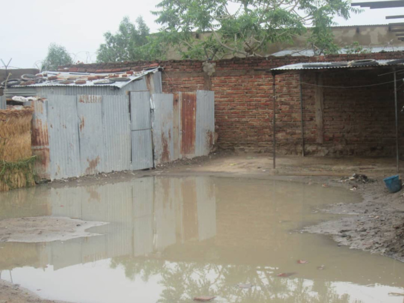 En images : inondations à N'Djamena