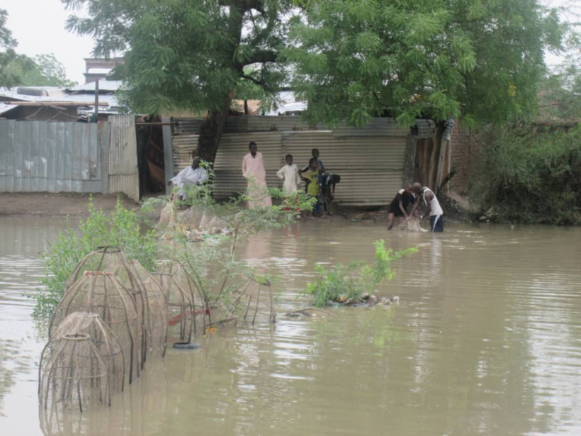 En images : inondations à N'Djamena