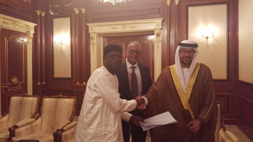 Tchad : une société émirati va construire une centrale solaire de 400 MW