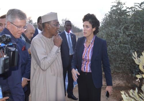 Agriculture dans le désert : le Tchad séduit par le savoir-faire israélien. © PR