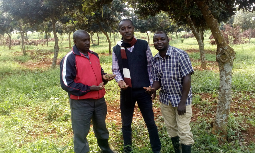 Tchad : tirons le meilleur du salon de l'agriculture SAFAGRI