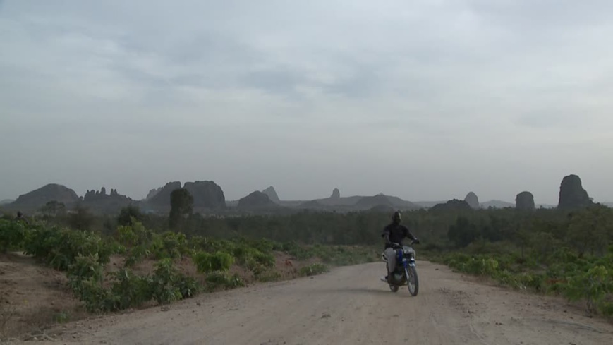 Une piste au Logone Oriental. Illustration. © DR