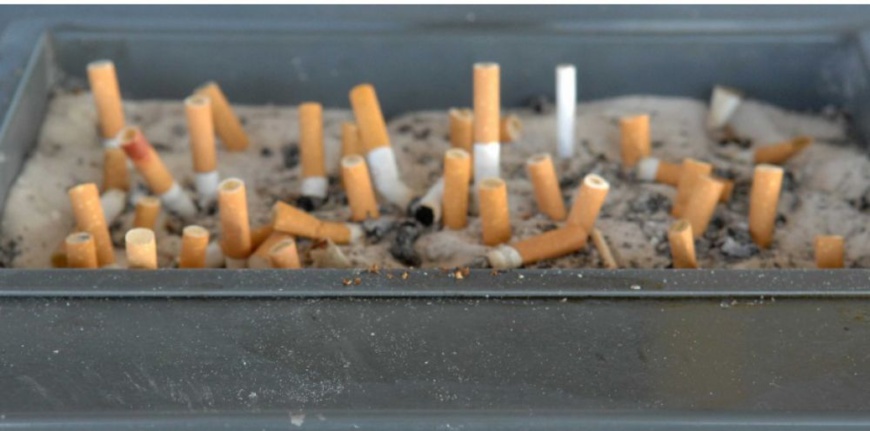 Illustration. © DR Illustration. © DR