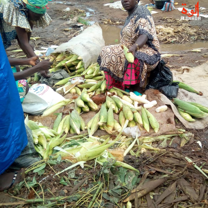 Tchad : au Logone Occidental, les ménages allégés par la baisse des prix Tchad : au Logone Occidental, les ménages allégés par la baisse des prix