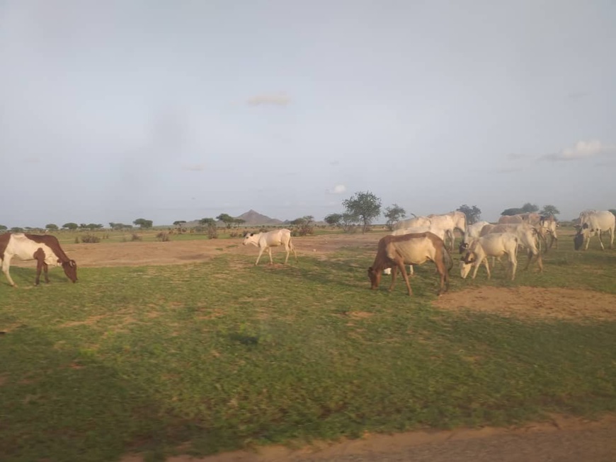 Une mission conduite par Yacoub Saleh Ourada s'est rendue dimanche 11 août 2019 à Amdoud, un village de la sous-préfecture d'Abéché rurale situé à 50 km de la ville. © Alwihda Info