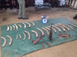 Tchad : un commandant se déguise en client pour arrêter des braconniers. © DR/Ministère EEP Tchad : un commandant se déguise en client pour arrêter des braconniers. © DR/Ministère EEP