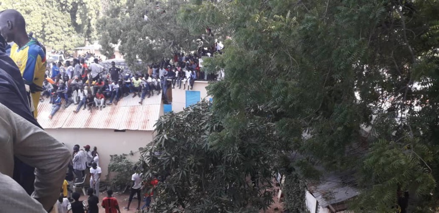Tchad : stade bondé à N'Djamena, les supporters grimpent aux arbres ou sur les toits
