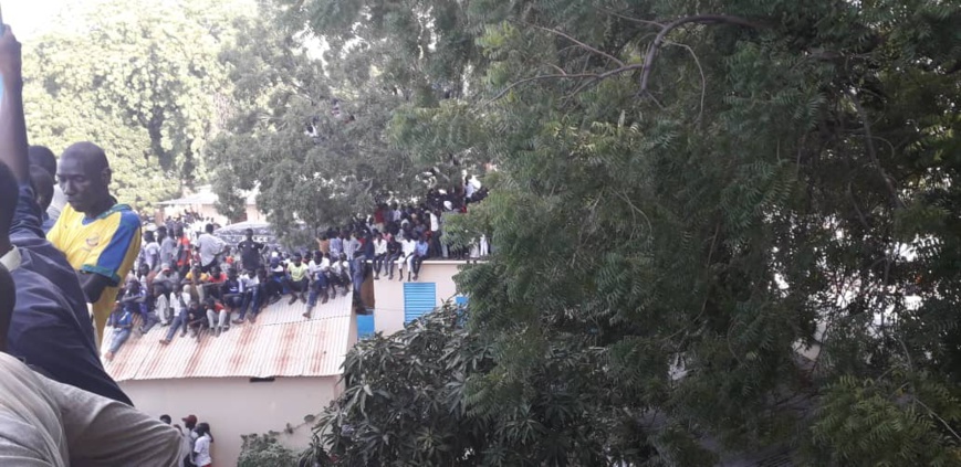 Tchad : stade bondé à N'Djamena, les supporters grimpent aux arbres ou sur les toits Tchad : stade bondé à N'Djamena, les supporters grimpent aux arbres ou sur les toits