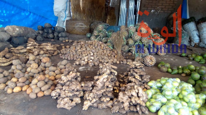 Tchad : au Sud, le désenclavement favorise l'activité économique avec le Cameroun Tchad : au Sud, le désenclavement favorise l'activité économique avec le Cameroun