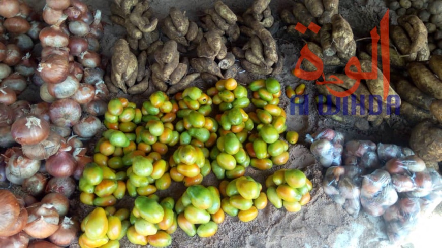 Tchad : au Sud, le désenclavement favorise l'activité économique avec le Cameroun Tchad : au Sud, le désenclavement favorise l'activité économique avec le Cameroun