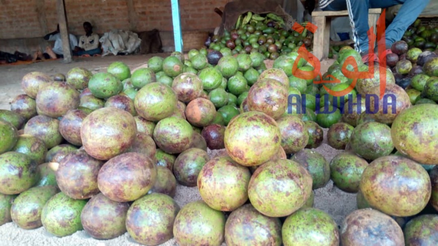 Tchad : au Sud, le désenclavement favorise l'activité économique avec le Cameroun Tchad : au Sud, le désenclavement favorise l'activité économique avec le Cameroun