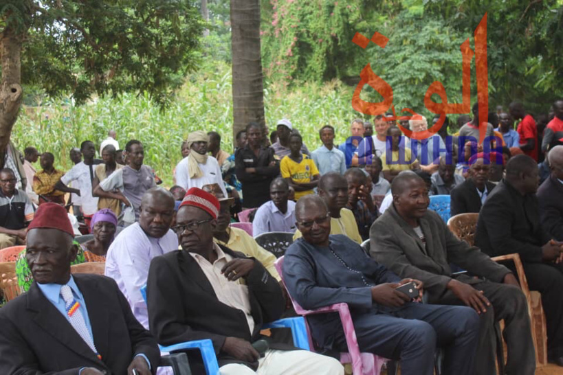Tchad : une course de pirogues organisée à Moundou Tchad : une course de pirogues organisée à Moundou