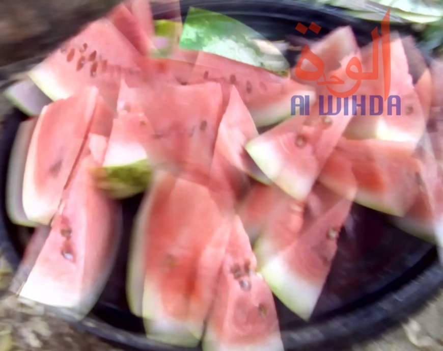 Tchad : la pastèque envahit la province du Ouaddaï, au détriment du mil. © Alwihda Info