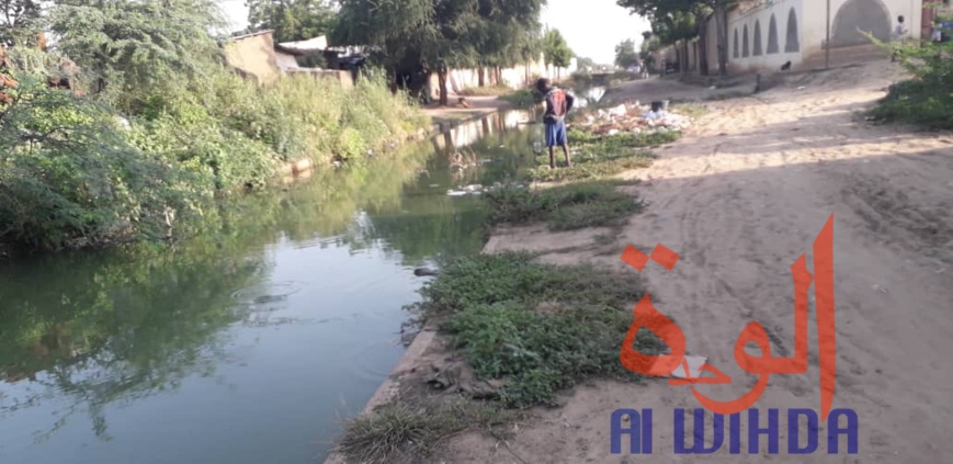 Tchad : "il ne faut plus que l'État parle de vitrine de l'Afrique" Tchad : "il ne faut plus que l'État parle de vitrine de l'Afrique"