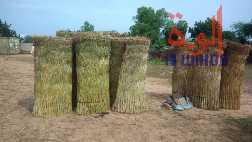 Tchad : au Sila, le commerce permet aux jeunes de se prendre en charge. © Alwihda Info