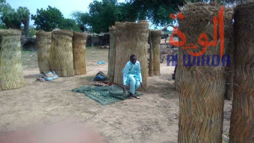 Tchad : au Sila, le commerce permet aux jeunes de se prendre en charge. © Alwihda Info Tchad : au Sila, le commerce permet aux jeunes de se prendre en charge. © Alwihda Info