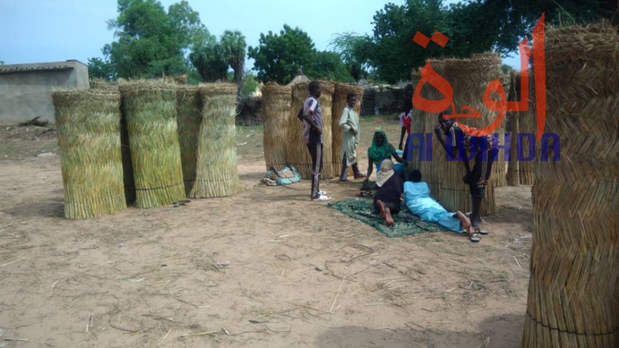 Tchad : au Sila, le commerce permet aux jeunes de se prendre en charge. © Alwihda Info