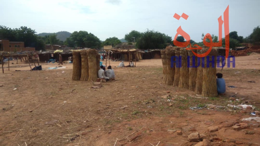 Tchad : au Sila, le commerce permet aux jeunes de se prendre en charge. © Alwihda Info Tchad : au Sila, le commerce permet aux jeunes de se prendre en charge. © Alwihda Info