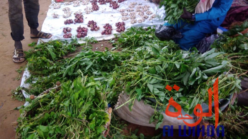 Tchad : à Goz Beida, le marché du dimanche prospère malgré l'état d'urgence. © Alwihda Info Tchad : à Goz Beida, le marché du dimanche prospère malgré l'état d'urgence. © Alwihda Info