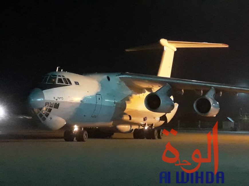 Tchad : des addax et une deuxième vague d'oryx acheminés à l'Est. © Alwihda Info