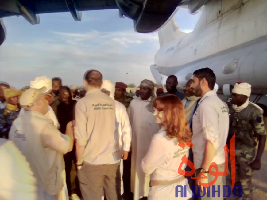 Tchad : un avion cargo transportant des oryx et addax se pose à l'aéroport d'Abéché. © Alwihda Info Tchad : un avion cargo transportant des oryx et addax se pose à l'aéroport d'Abéché. © Alwihda Info