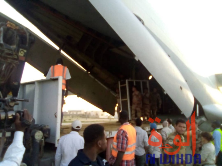 Tchad : un avion cargo transportant des oryx et addax se pose à l'aéroport d'Abéché. © Alwihda Info