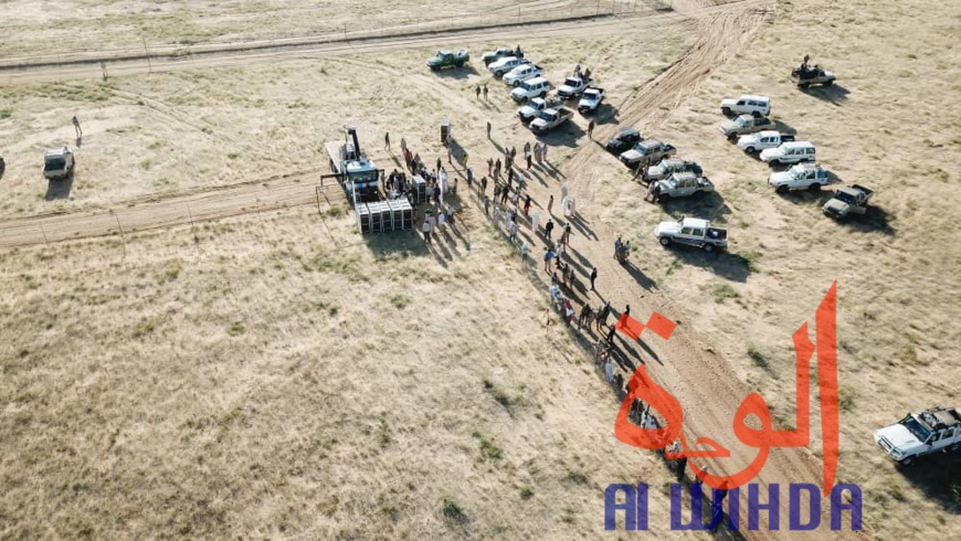 Tchad : 15 addax relâchés dans leur enclos au Wadi Rimé. © Alwihda Info Tchad : 15 addax relâchés dans leur enclos au Wadi Rimé. © Alwihda Info