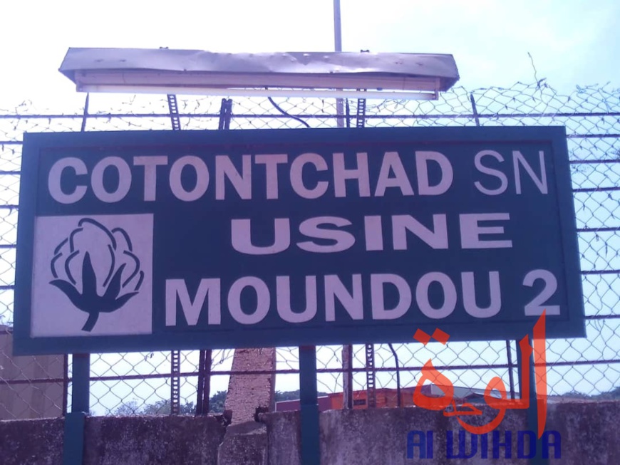 Tchad : le ministre d'Etat Kalzeubet Pahimi lance la campagne cotonnière à Moundou