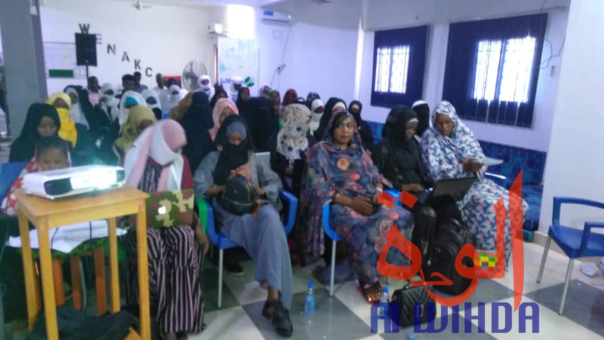 Tchad : "les réseaux sociaux présentent autant d'avantages que d'inconvénients". © Alwihda Info