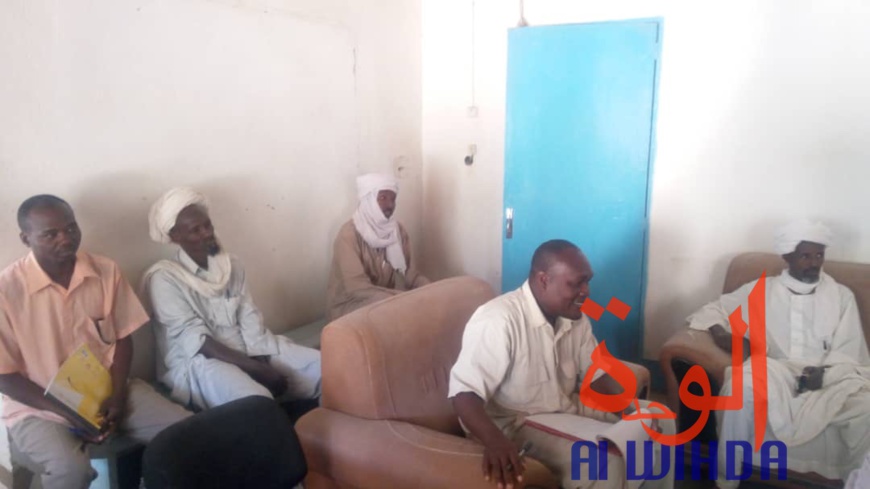 Tchad : un projet pour renforcer les producteurs maraîchers au Nord. © Alwihda Info