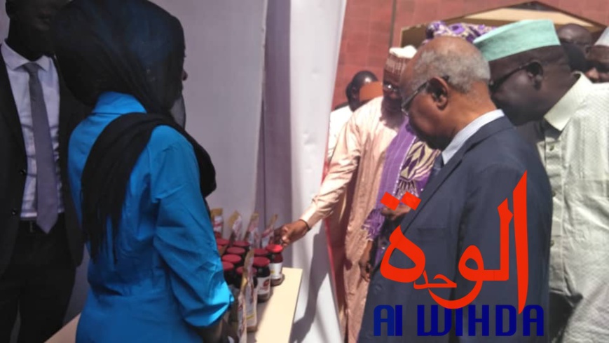 Tchad : la semaine mondiale de l'entrepreneuriat lancée à N'Djamena