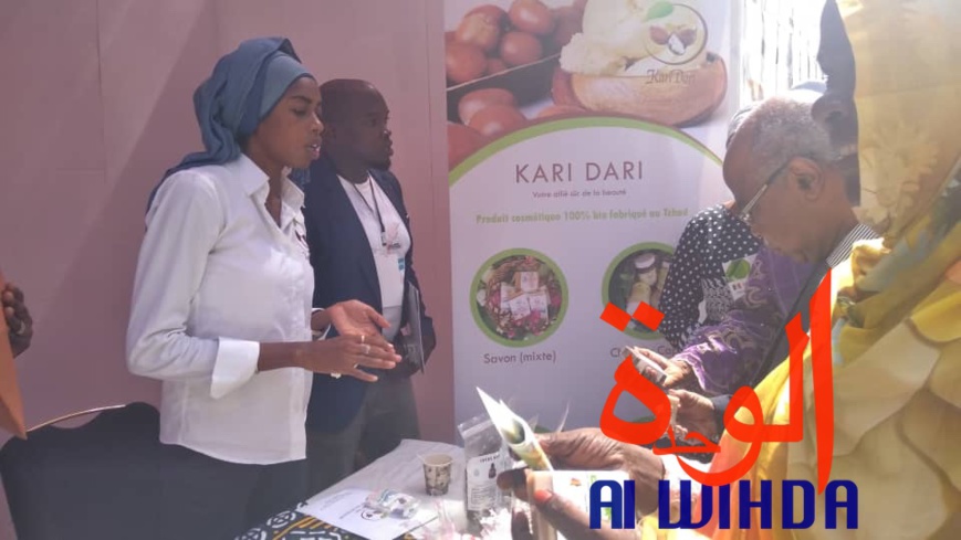 Tchad : la semaine mondiale de l'entrepreneuriat lancée à N'Djamena Tchad : la semaine mondiale de l'entrepreneuriat lancée à N'Djamena