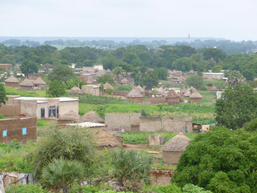 La ville de Pala. Illustration. © DR