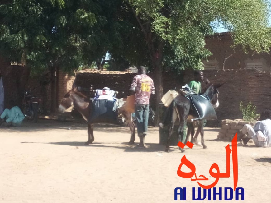Tchad : retour aux sources pour certains avec l'état d'urgence. © Alwihda Info Tchad : retour aux sources pour certains avec l'état d'urgence. © Alwihda Info