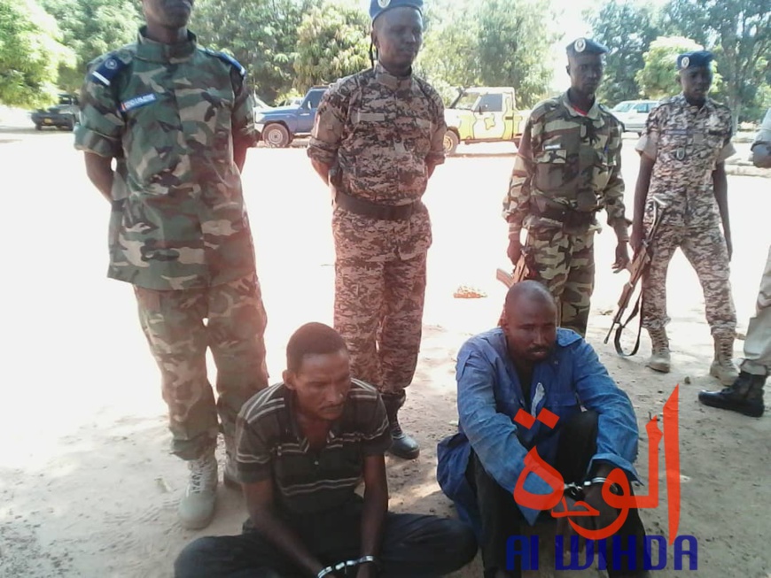 Tchad : double arrestation après l'assassinat d'un homme au Cameroun. © Alwihda Info Tchad : double arrestation après l'assassinat d'un homme au Cameroun. © Alwihda Info