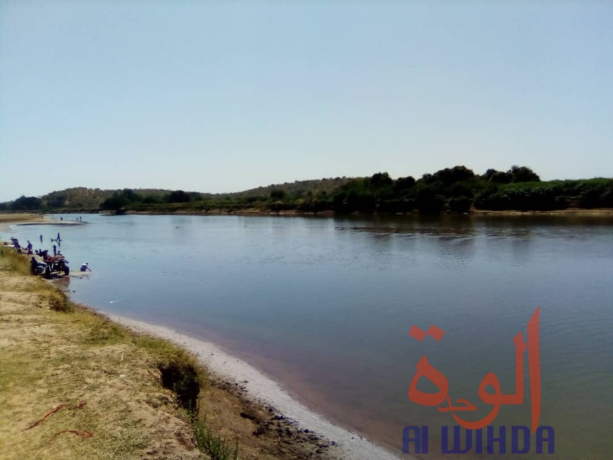 Tchad : à Koukou Angarana, l'activité économique fait oublier l'état d'urgence