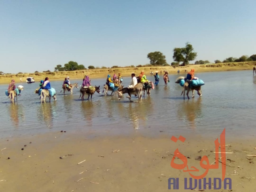 Tchad : à Koukou Angarana, l'activité économique fait oublier l'état d'urgence