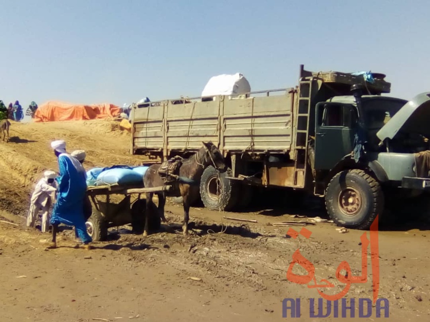 Tchad : à Koukou Angarana, l'activité économique fait oublier l'état d'urgence Tchad : à Koukou Angarana, l'activité économique fait oublier l'état d'urgence
