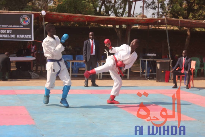 Tchad : 9 provinces représentées au championnat national de karaté