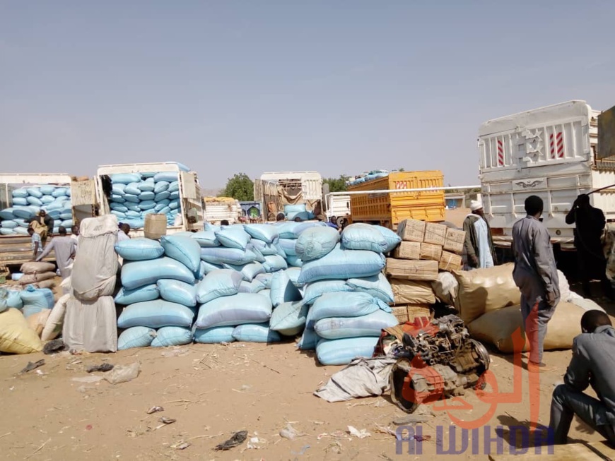 Tchad : à l'Est, le sésame s'exporte jusqu'au Soudan. © Alwihda Info Tchad : à l'Est, le sésame s'exporte jusqu'au Soudan. © Alwihda Info