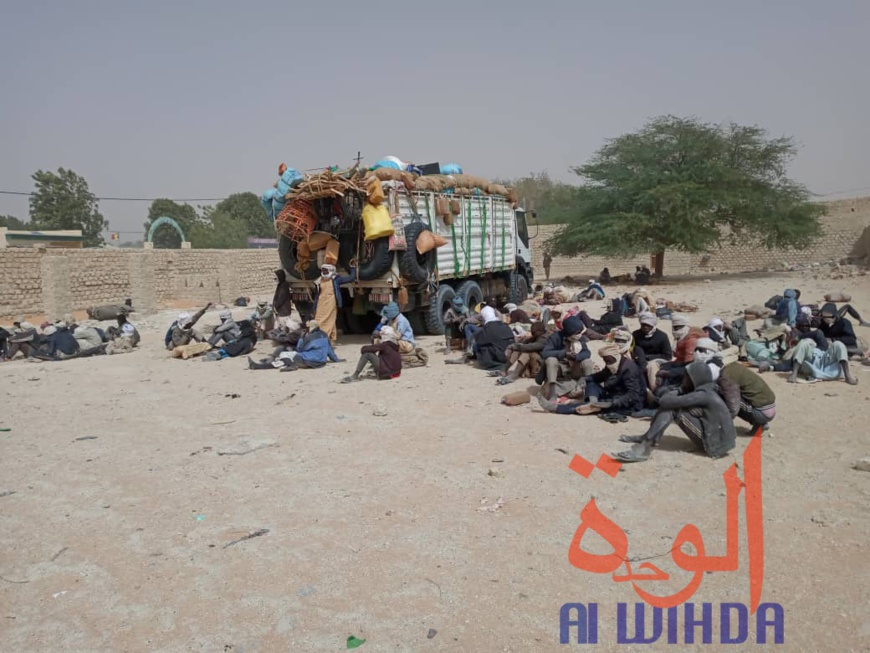 Tchad : 106 orpailleurs clandestins arrêtés au Borkou. © Abdoulaye Akim/Alwihda Info Tchad : 106 orpailleurs clandestins arrêtés au Borkou. © Abdoulaye Akim/Alwihda Info