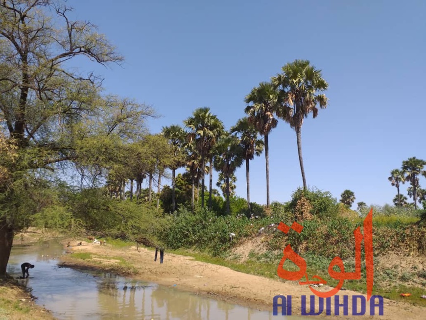 Tchad : A Kerfi, un paysage fascinant. © Mahamat Issa Gadaya/Alwihda Info