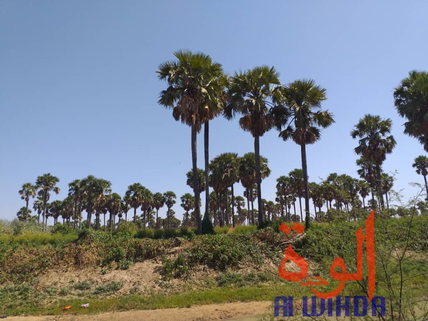 Tchad : A Kerfi, un paysage fascinant. © Mahamat Issa Gadaya/Alwihda Info