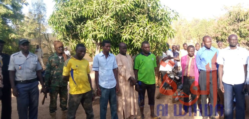 Tchad : 4 malfrats appréhendés à Pala, 5 motos récupérées. © Foka Mapagne/Alwihda Info Tchad : 4 malfrats appréhendés à Pala, 5 motos récupérées. © Foka Mapagne/Alwihda Info