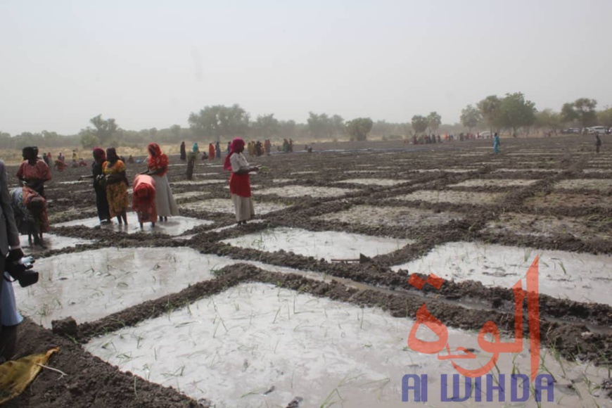 Tchad : une mission de la Banque mondiale s’est rendue au Hadjer Lamis. © Mahamat Abdramane Ali Kitire/Alwihda Info